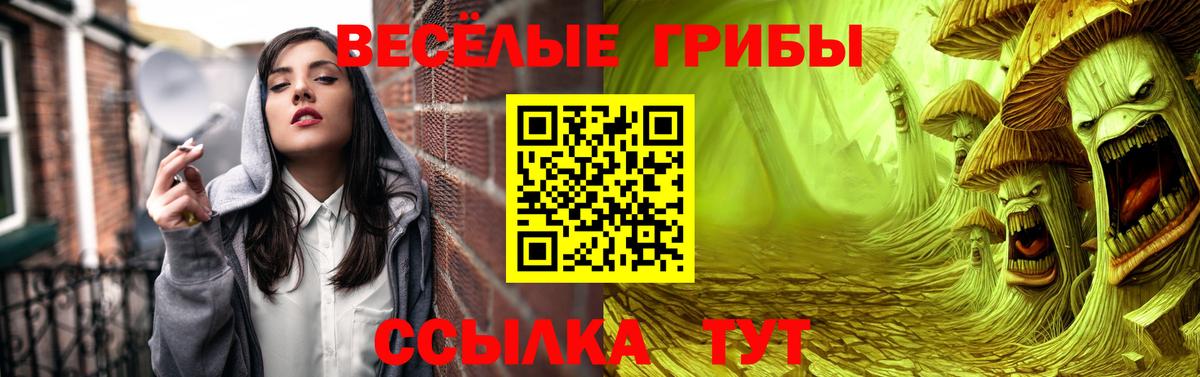 Алейск  Псилоцибиновые грибы ЛСД  Вход с VPN 